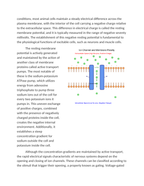 Investigating Ion Channels and Membrane Polarity Reading Worksheet sample page