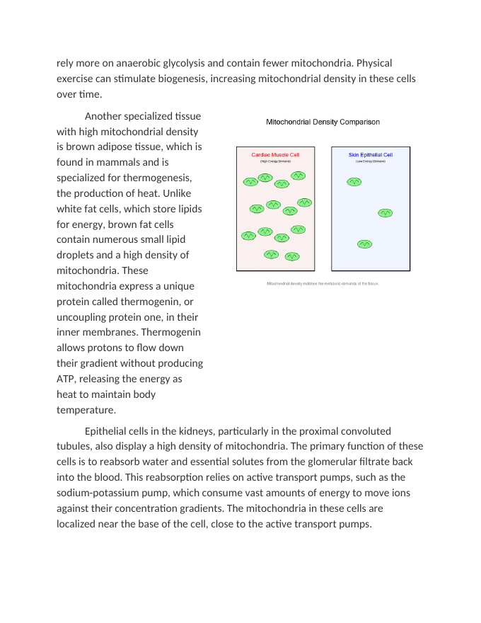 Investigating Mitochondrial Density in Specialized Tissue Reading Worksheet sample page