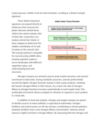 Isotope Tracing in Local Biogeochemical Pathways Reading Worksheet sample page