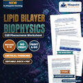 Lipid Bilayer Biophysics: Amphipathic Phospholipids, Fluidity, Cholesterol Buffering, and Membrane Phase Transitions CER Phenomena Worksheet cover