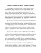 Lysosomal Function and Cellular Apoptosis Pathways Reading Worksheet sample page