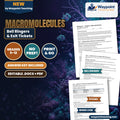 Macromolecules Bell Ringers & Exit Tickets cover
