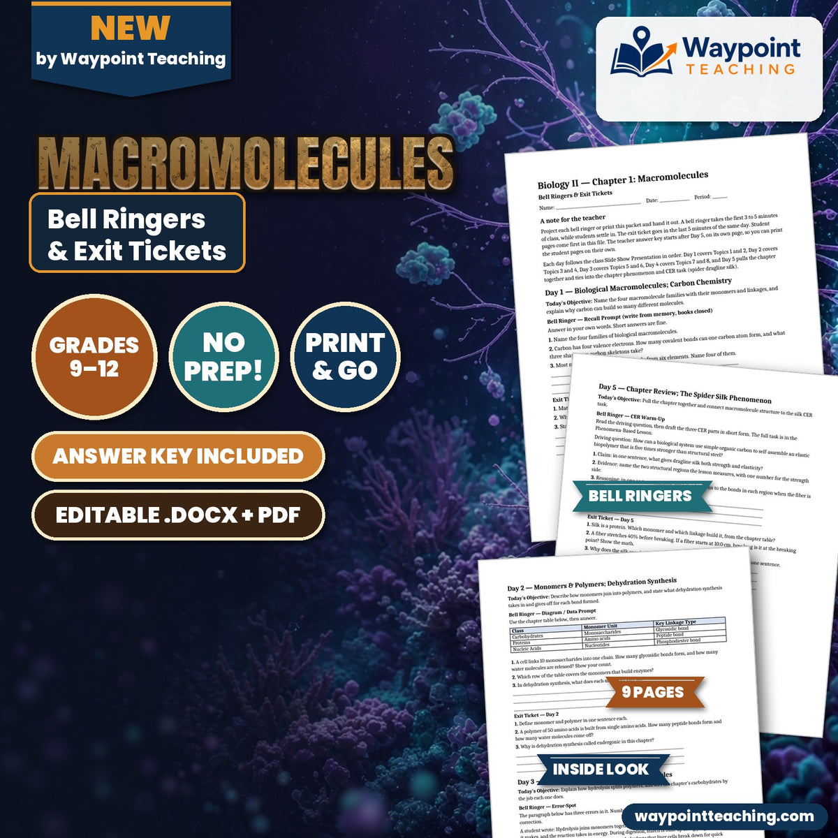 Macromolecules Bell Ringers & Exit Tickets cover