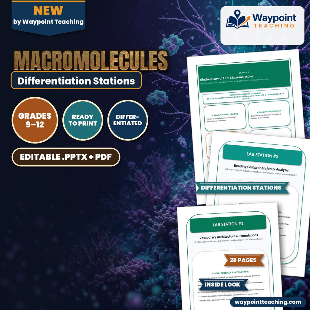 Macromolecules Differentiation Stations cover