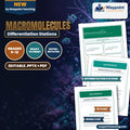 Macromolecules Differentiation Stations cover
