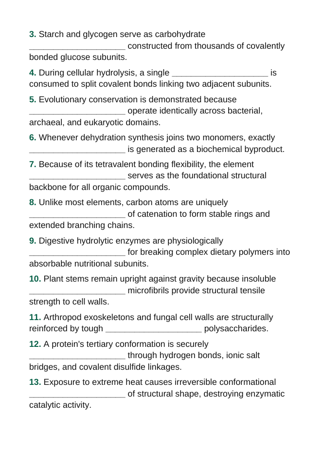 Macromolecules Fill-in-the-Blank Vocabulary Worksheet sample page