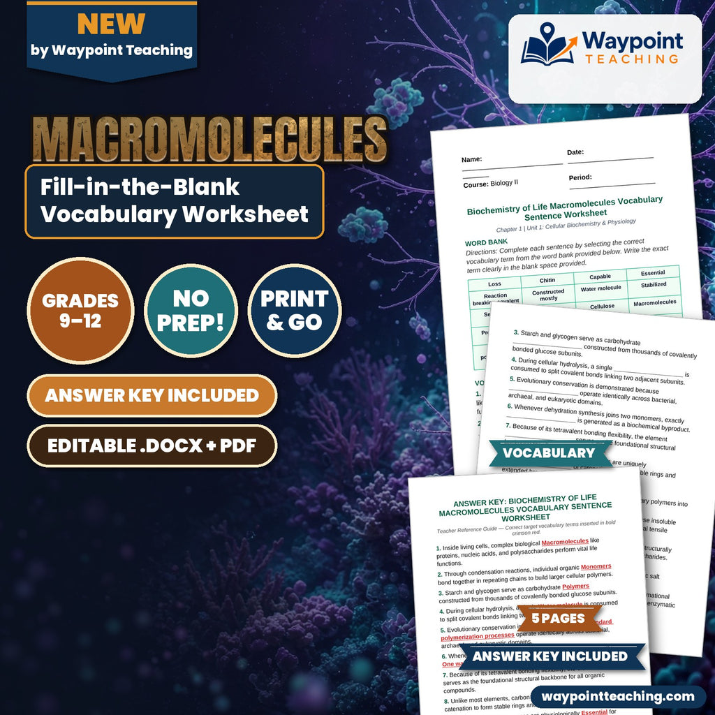 Macromolecules Fill-in-the-Blank Vocabulary Worksheet cover