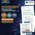 Macromolecules Fill-in-the-Blank Vocabulary Worksheet cover