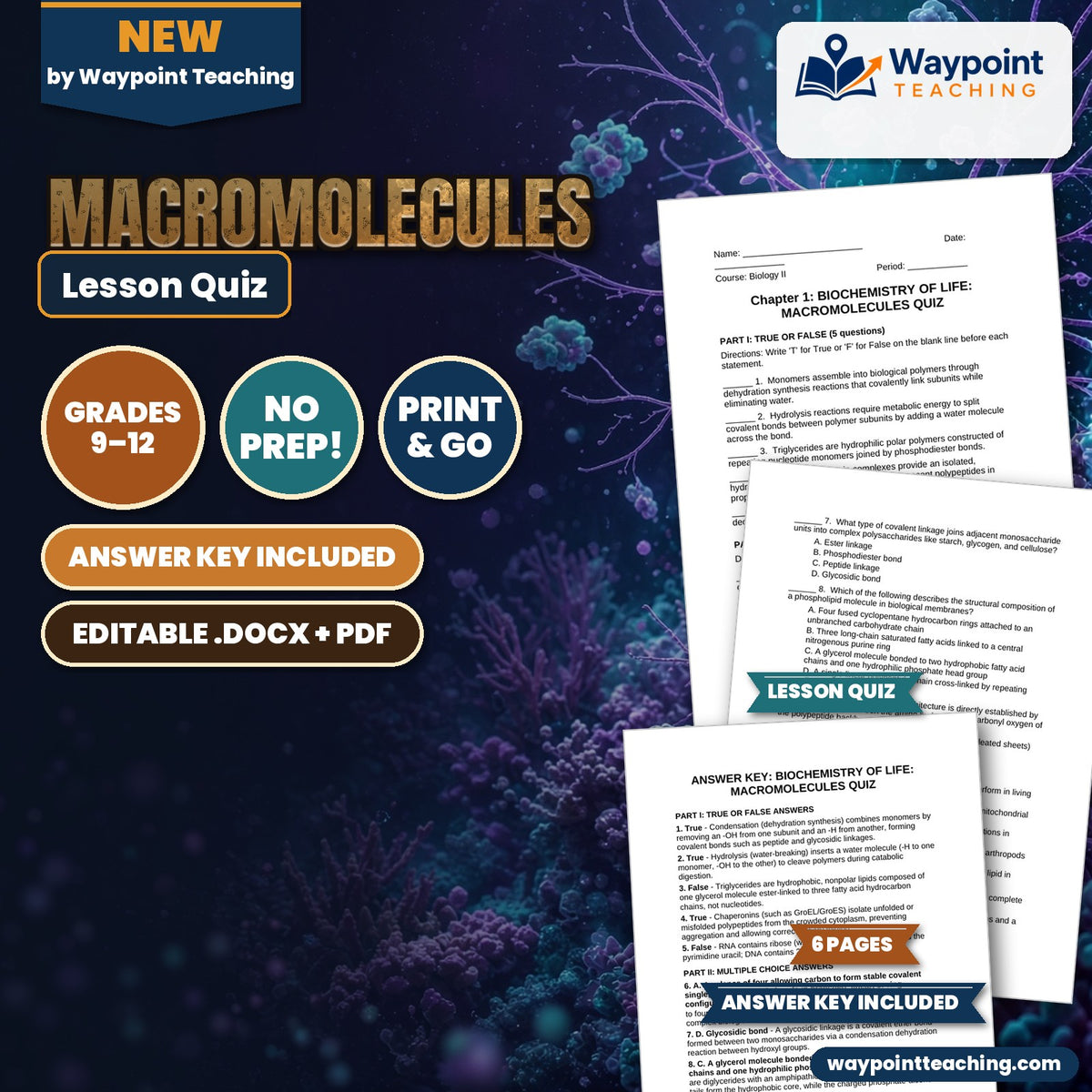 Macromolecules Lesson Quiz cover