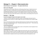 Macromolecules Model Response & Scoring Guide sample page