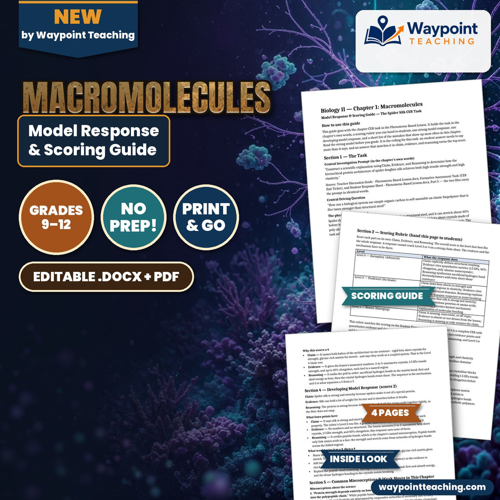 Macromolecules Model Response & Scoring Guide cover
