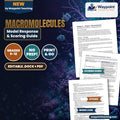 Macromolecules Model Response & Scoring Guide cover