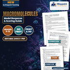 Macromolecules Model Response & Scoring Guide cover