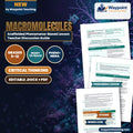Macromolecules Scaffolded Phenomena-Based Lesson: The Molecular Riddle of Spider Dragline Silk: Stronger Than Steel, Tougher Than Kevlar Teacher Discussion Guide cover