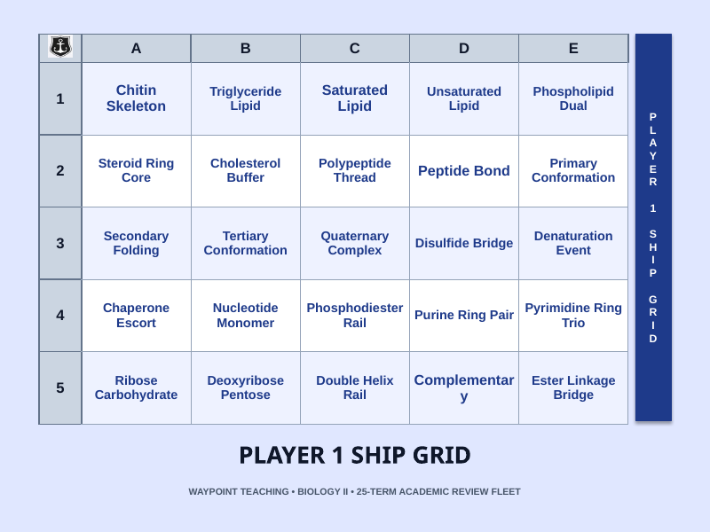 Macromolecules Sea Battle Review Game sample page