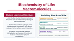 Macromolecules Slide Show Presentation sample page