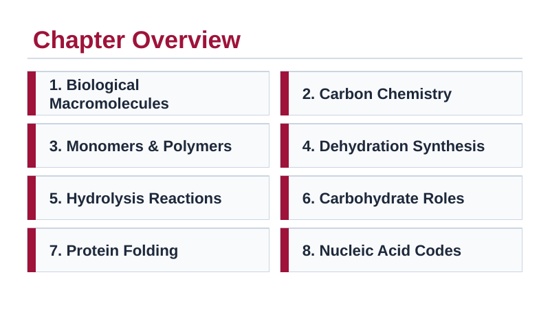 Macromolecules Slide Show Presentation sample page