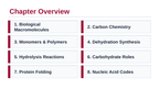 Macromolecules Slide Show Presentation sample page