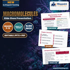 Macromolecules Slide Show Presentation cover