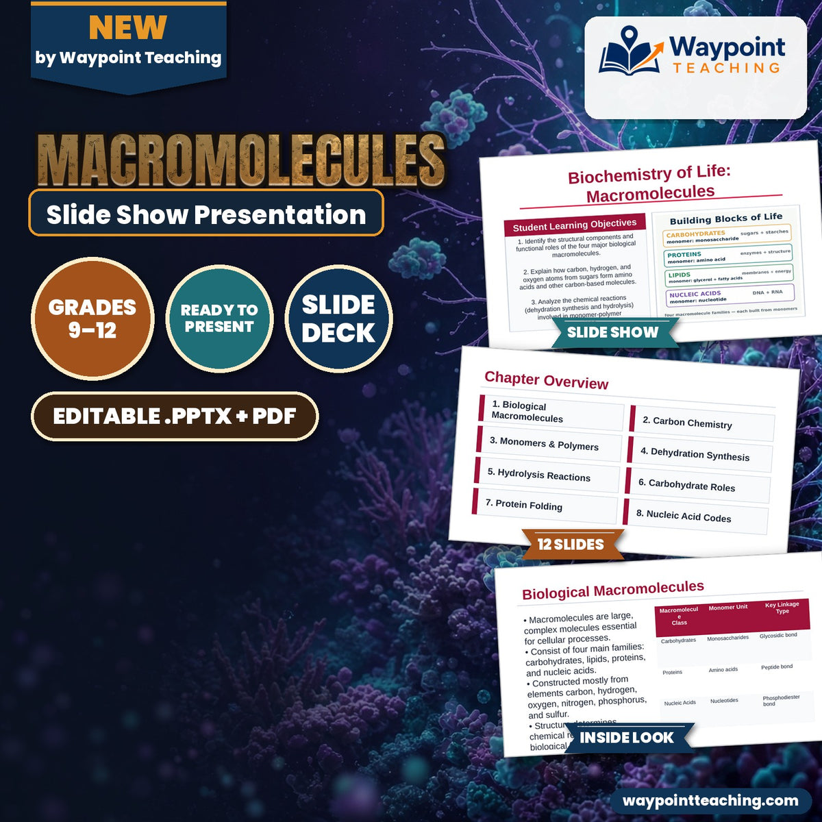 Macromolecules Slide Show Presentation cover