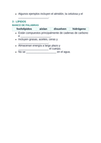Macromolecules Spanish Guided Notes sample page