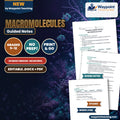 Macromolecules Spanish Guided Notes cover