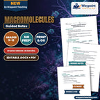 Macromolecules Spanish Guided Notes cover