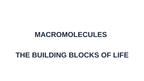 Macromolecules Substitute Slideshow & Teacher Guide sample page
