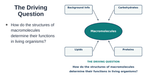 Macromolecules Substitute Slideshow & Teacher Guide sample page