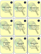 Macromolecules Trivia Board Game sample page