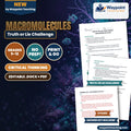 Macromolecules Truth or Lie Challenge cover