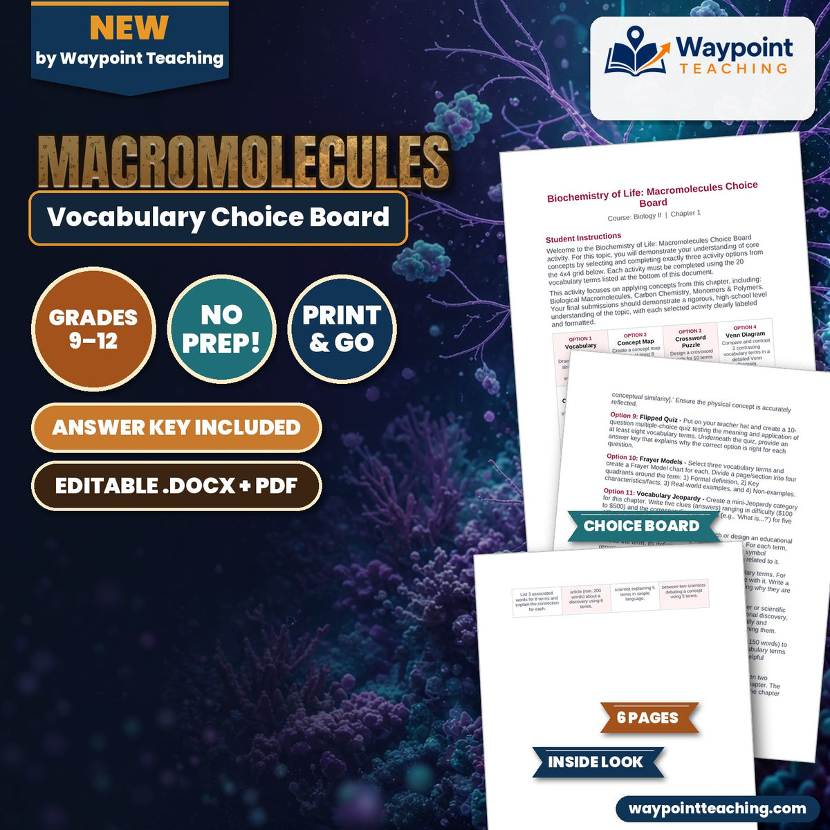 Macromolecules Vocabulary Choice Board cover