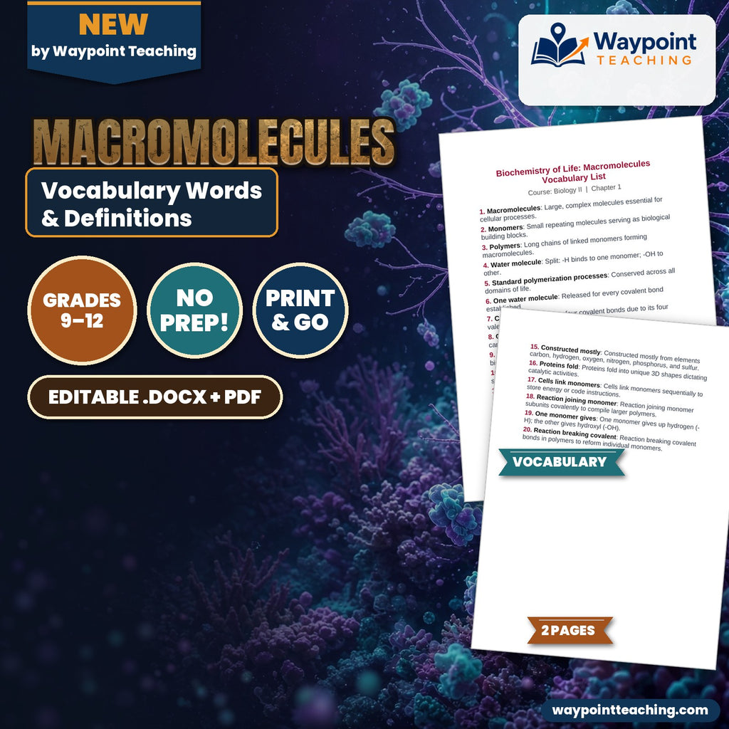 Macromolecules Vocabulary Words & Definitions cover