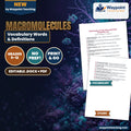 Macromolecules Vocabulary Words & Definitions cover