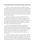 Mathematical Models of Atmospheric Nitrogen Fixation Rates Reading Worksheet sample page