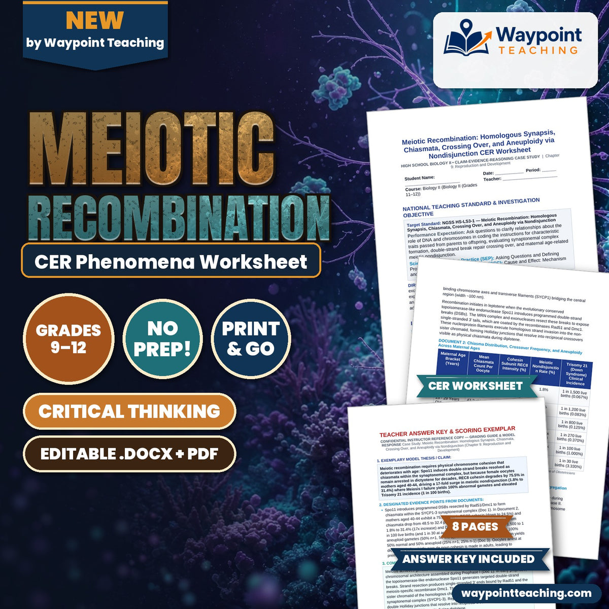 Meiotic Recombination: Homologous Synapsis, Chiasmata, Crossing Over, and Aneuploidy via Nondisjunction CER Phenomena Worksheet cover