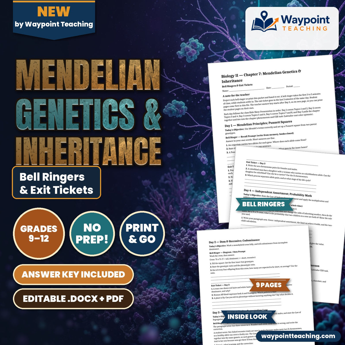 Mendelian Genetics & Inheritance Bell Ringers & Exit Tickets cover