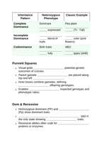 Mendelian Genetics & Inheritance Guided Notes sample page