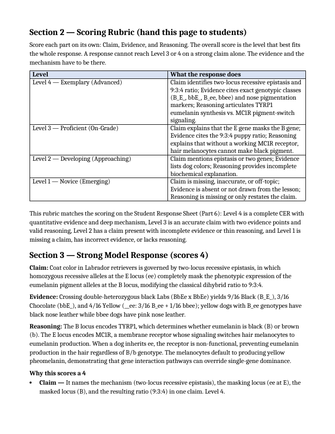 Mendelian Genetics & Inheritance Model Response & Scoring Guide sample page