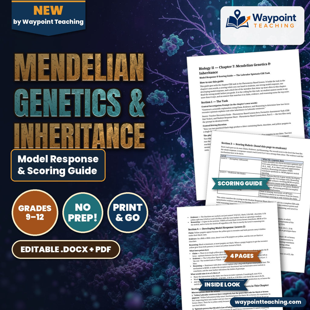 Mendelian Genetics & Inheritance Model Response & Scoring Guide cover