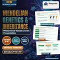 Mendelian Genetics & Inheritance Phenomena-Based Lesson: The Mystery of the Yellow Puppy: Two-Locus Epistasis in Labrador Retrievers Presentation cover