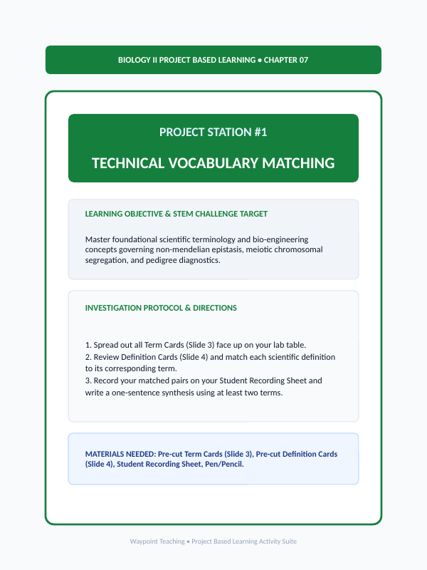 Mendelian Genetics & Inheritance Project-Based Learning Activity sample page