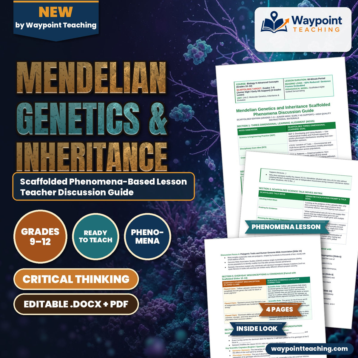Mendelian Genetics & Inheritance Scaffolded Phenomena-Based Lesson: The Mystery of the Yellow Puppy: Two-Locus Epistasis in Labrador Retrievers Teacher Discussion Guide cover