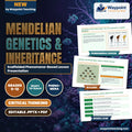 Mendelian Genetics & Inheritance Scaffolded Phenomena-Based Lesson: The Mystery of the Yellow Puppy: Two-Locus Epistasis in Labrador Retrievers Presentation cover