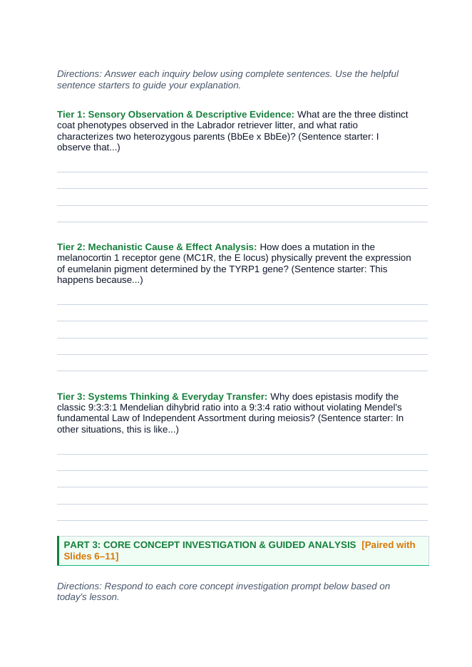 Mendelian Genetics & Inheritance Scaffolded Phenomena-Based Lesson: The Mystery of the Yellow Puppy: Two-Locus Epistasis in Labrador Retrievers Student Response Sheet sample page