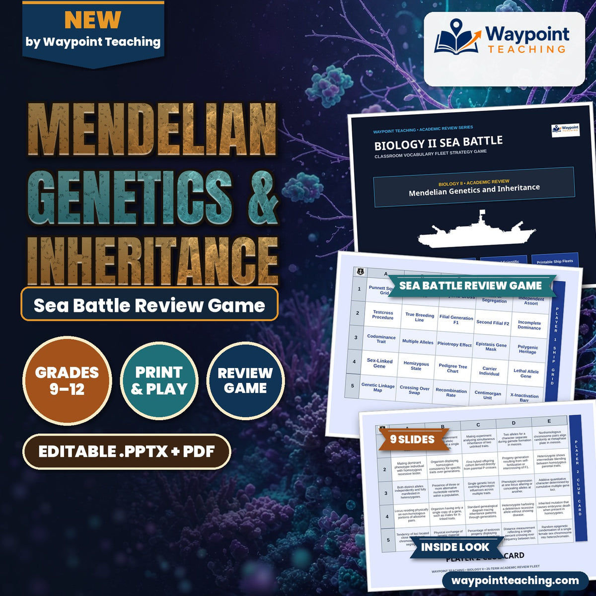 Mendelian Genetics & Inheritance Sea Battle Review Game cover