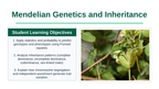 Mendelian Genetics & Inheritance Slide Show Presentation sample page