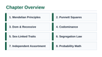 Mendelian Genetics & Inheritance Slide Show Presentation sample page