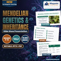Mendelian Genetics & Inheritance Slide Show Presentation cover