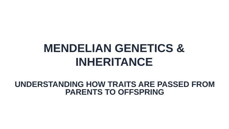 Mendelian Genetics & Inheritance Substitute Slideshow & Teacher Guide sample page